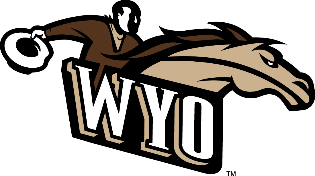 Wyoming Cowboys 1997-2006 Alternate Logo v2 diy DTF decal sticker